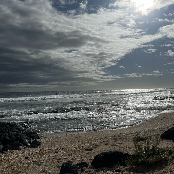 Meet your Posher, Sherri - Picture 2 of 2